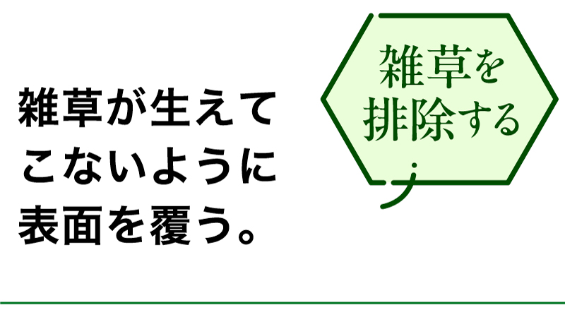 雑草を排除する